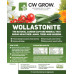 Wollastonite 10kg