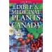 Edible & Medicinal Plants of Canada