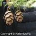 Eastern Hemlock (3 gallon)